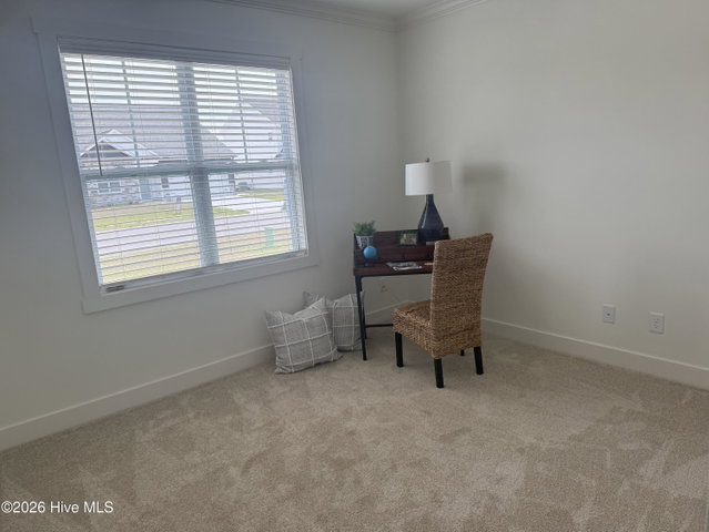 1020 Seven Iron Drive, Ayden, NC 28513 — photo 6