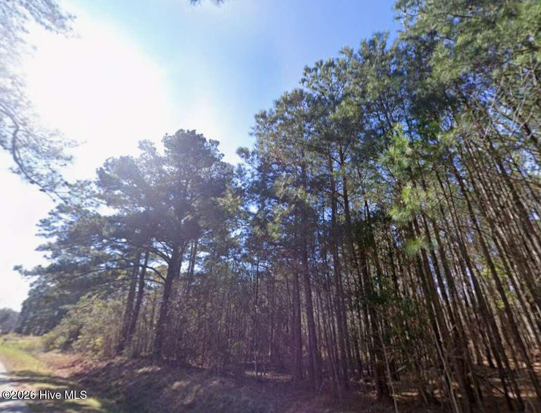 0 3rd Avenue, Hertford, NC 27944 — photo 5