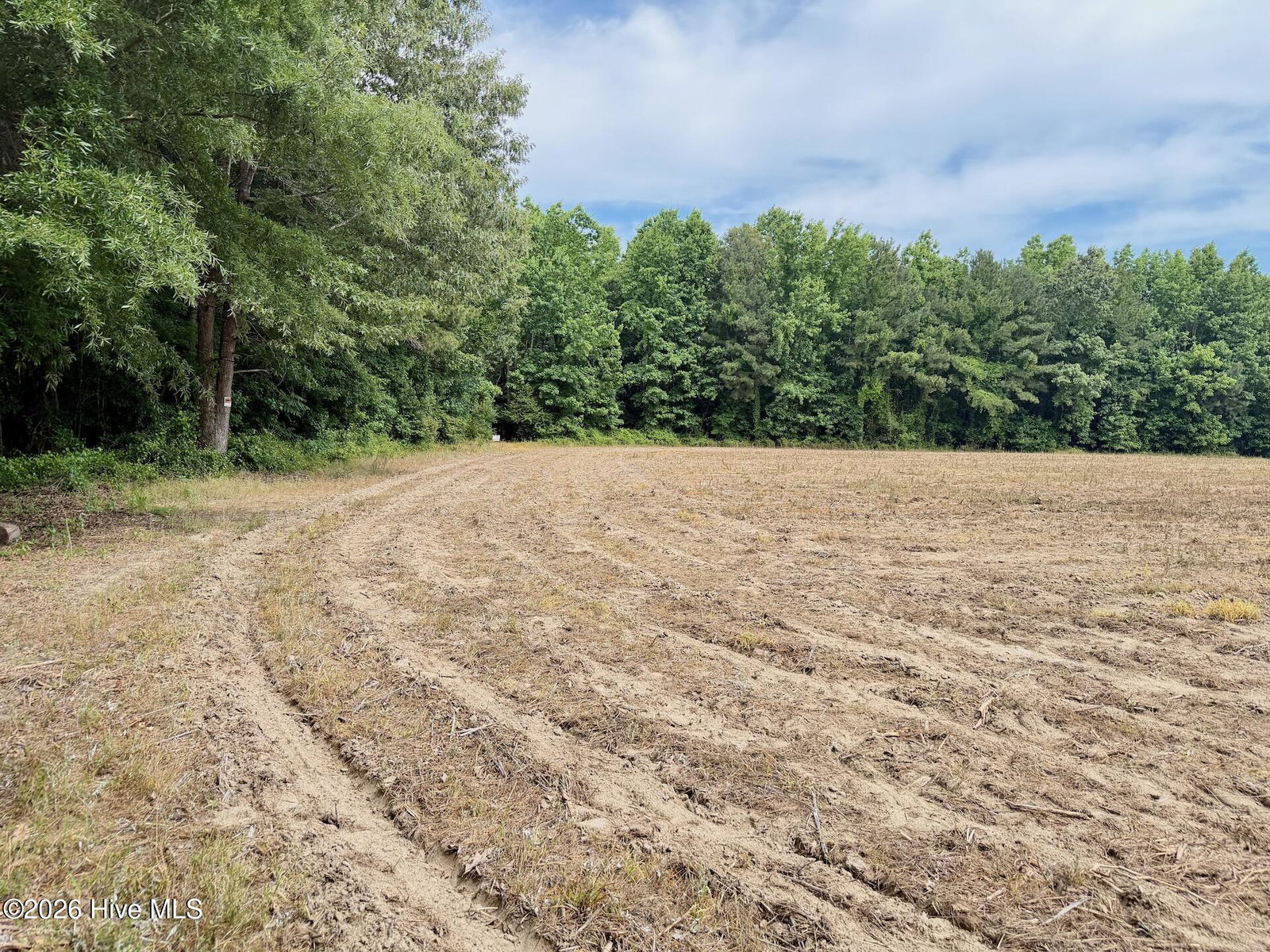 0 Off 1040d Republican Road, Windsor, NC 27983 — photo 5