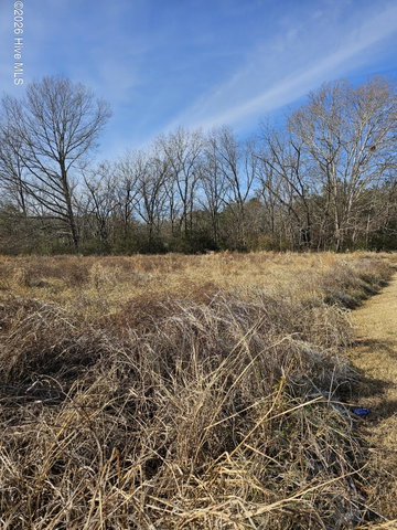 Tbd E Main Street, Woodland, NC 27897