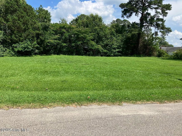 0 Pitt Street, Grimesland, NC 27837 — photo 4