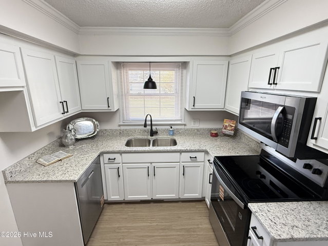 207 Avalon Lane, Greenville, NC 27858 — photo 2