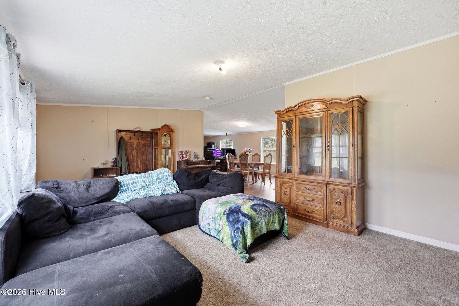 260 Low Ground Road, Enfield, NC 27823 — photo 4