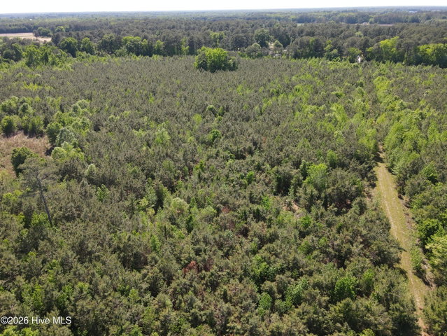 0 Colice Hall Lane, Ahoskie, NC 27910