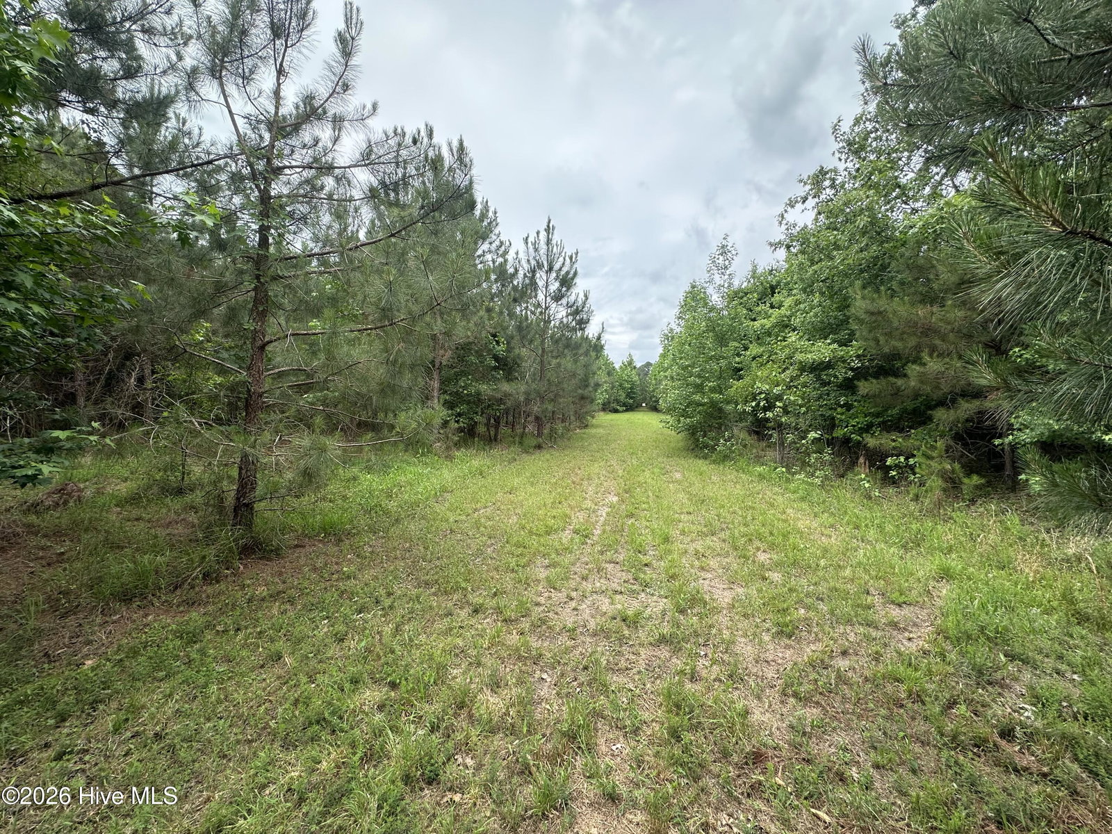 0 Colice Hall Lane, Ahoskie, NC 27910 — photo 4