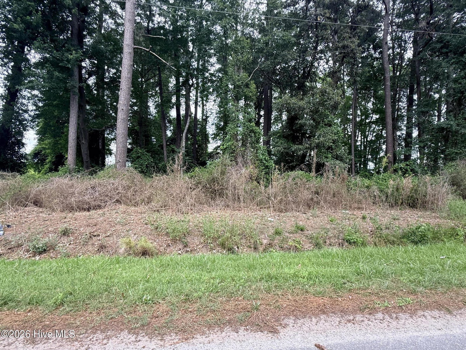 0 3, 4, 5, 6 Idlewild Drive, Greenville, NC 27834 — photo 5