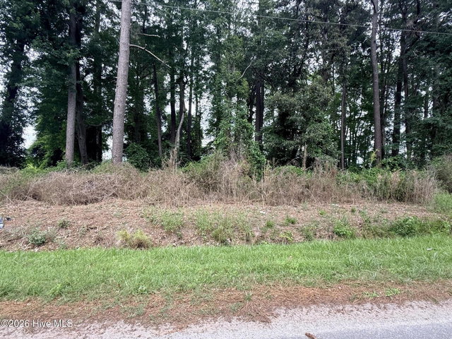 0 3, 4, 5, 6 Idlewild Drive, Greenville, NC 27834 — photo 5