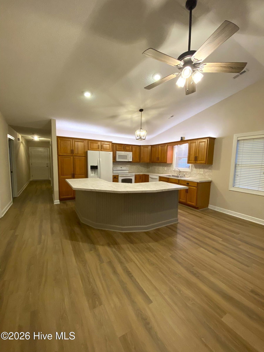 201 Village Court, Nashville, NC 27856 — photo 5