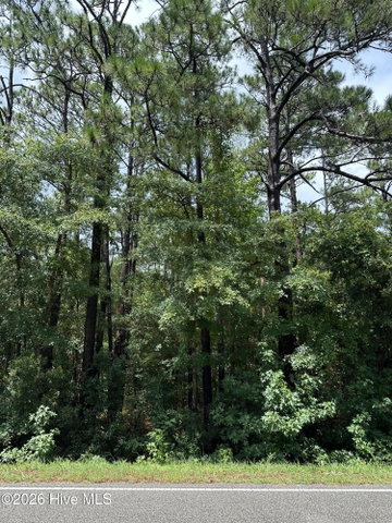 212 6 Golden Road image