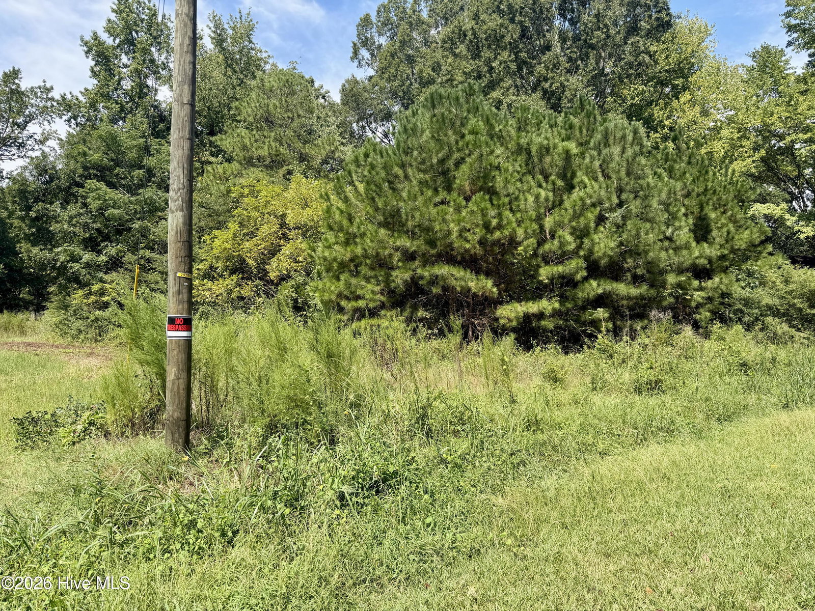 000 Mt Zion Church Road, Nashville, NC 27856 — photo 2