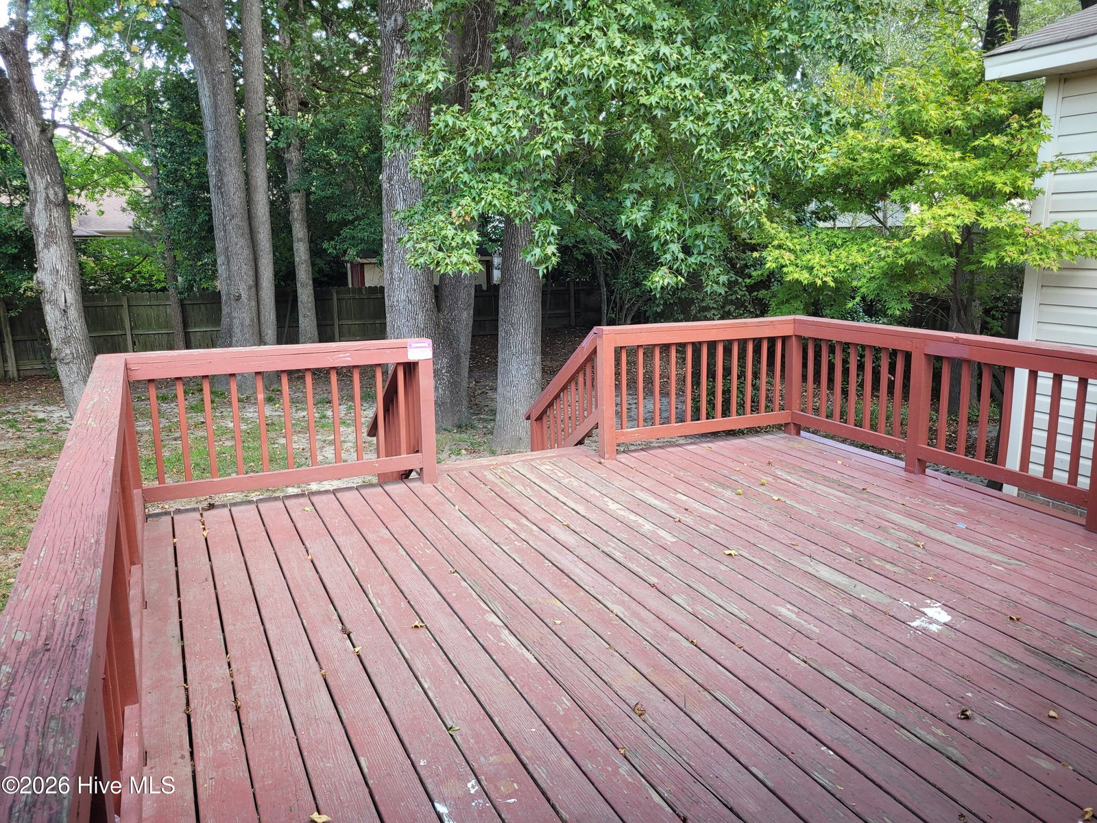 2419 Slay Drive, Greenville, NC 27858 — photo 5