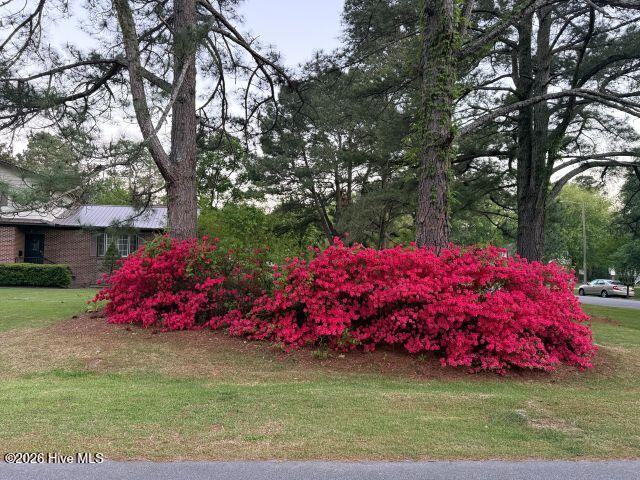 604 Eleanor Street, Greenville, NC 27858 — photo 3