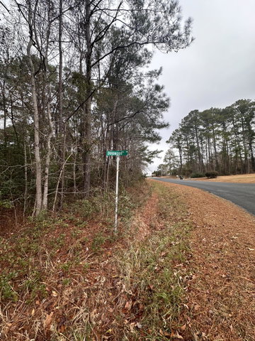 151 Dogwood Trail SW image