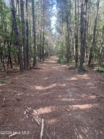 2364 Nc 102 E, Ayden, NC 28513 — photo 25