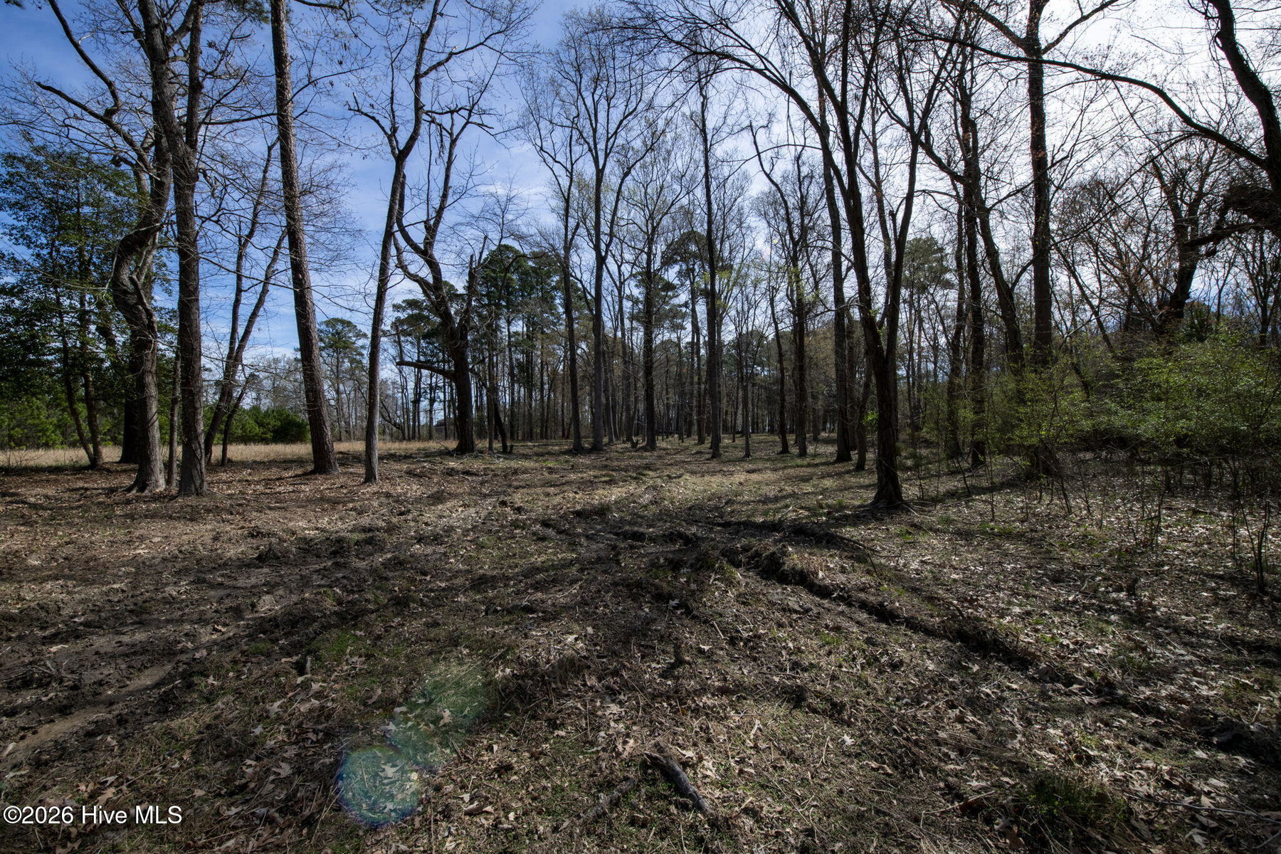 Lot 6 6 Peninsula Shores Way, Hertford, NC 27944 — photo 4