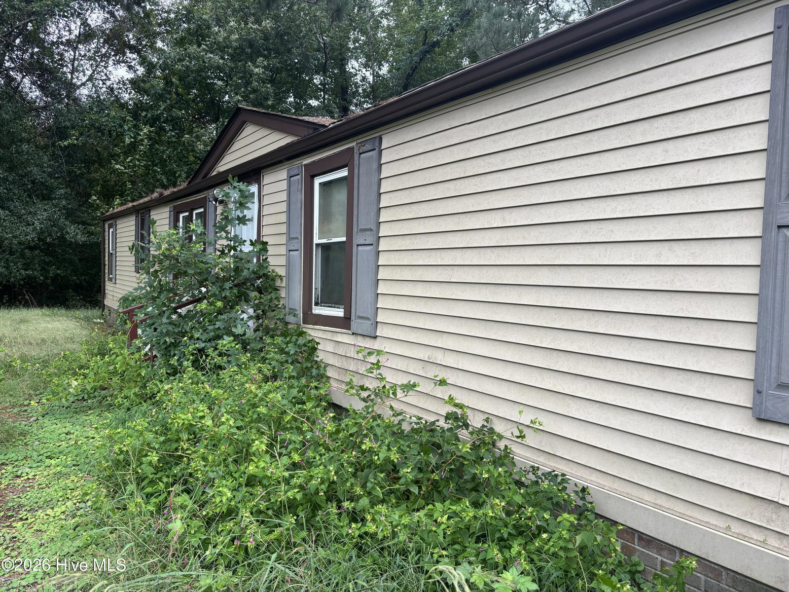 213 S Railroad Street, Whitakers, NC 27891 — photo 3
