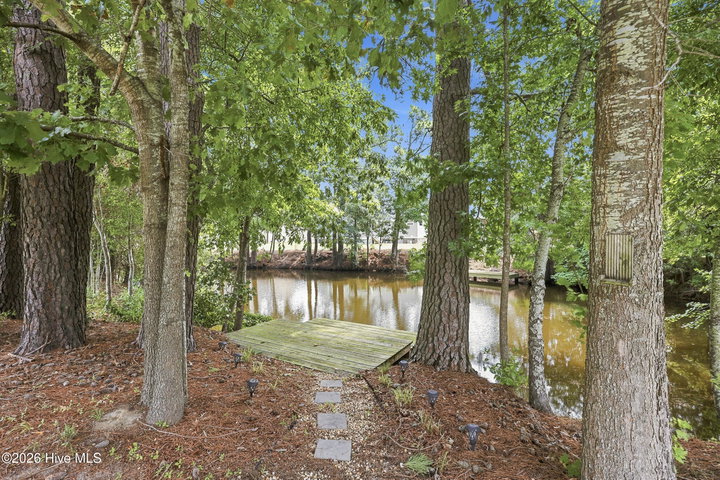 234 Spoonbill Loop, Elizabeth City, NC 27909 — photo 50