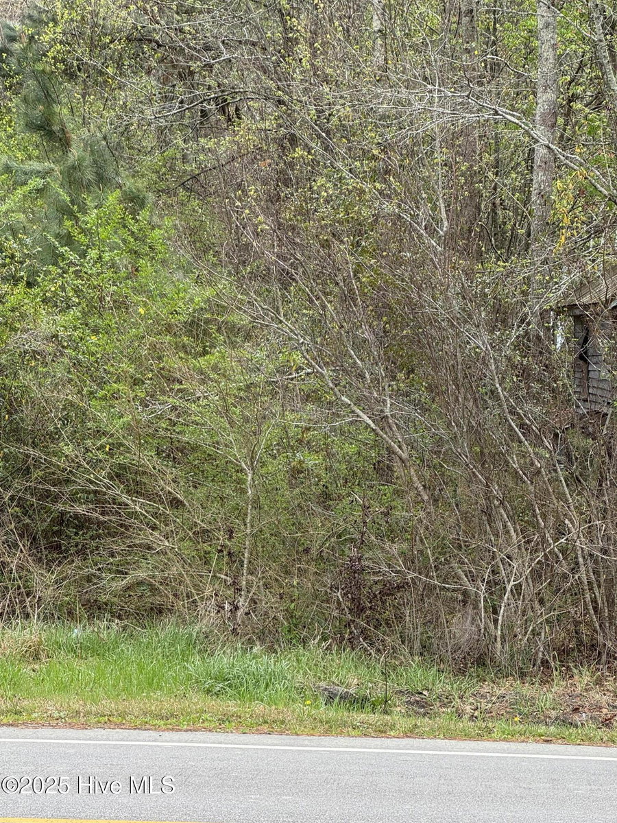 2338 Old Cherry Road, Creswell, NC 27928 — photo 4