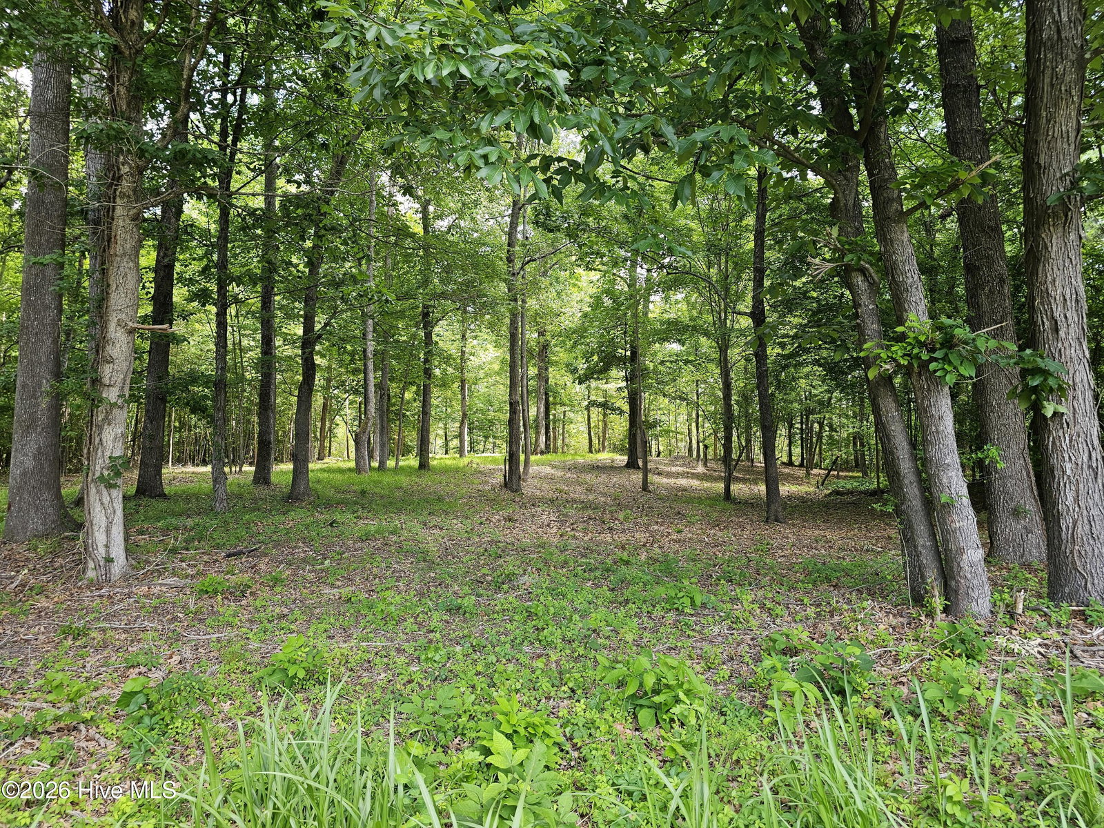 Lot 58 58 See View Lane, Hertford, NC 27944 — photo 2