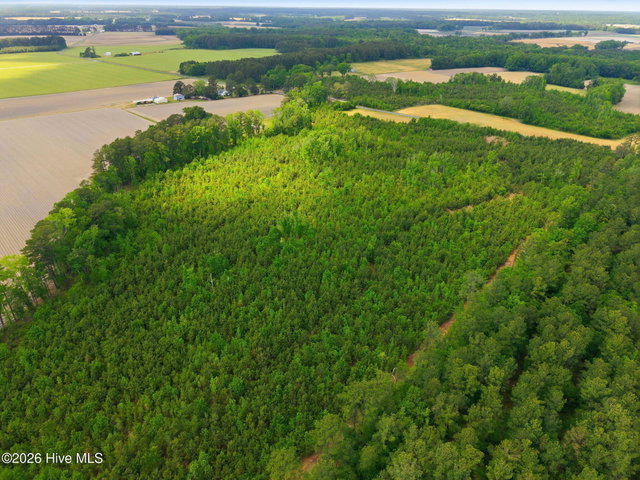2733 Jim Taylor Road, Stokes, NC 27884 — photo 8