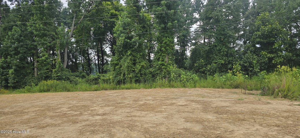 3259 School View Drive, Farmville, NC 27828 — photo 49