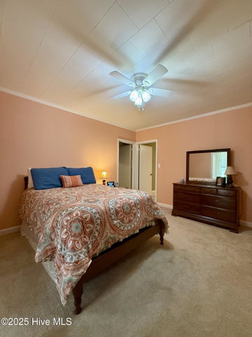 3773 Bear Grass Road, Williamston, NC 27892 — photo 32