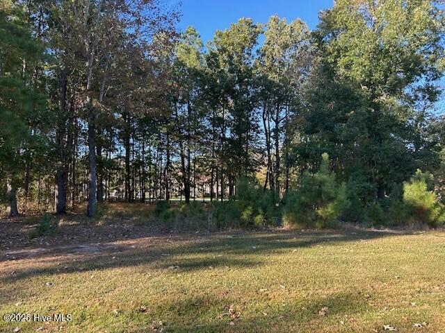Lot 14 N 14N Cape Fear Drive, Hertford, NC 27944 — photo 2