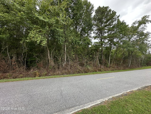 Lot 95-77 P95-77 Crocker Hill Road, Elizabeth City, NC 27909 — photo 5