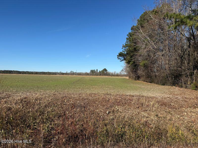 2056 N Carolina 903, Greenville, NC 27834 — photo 2