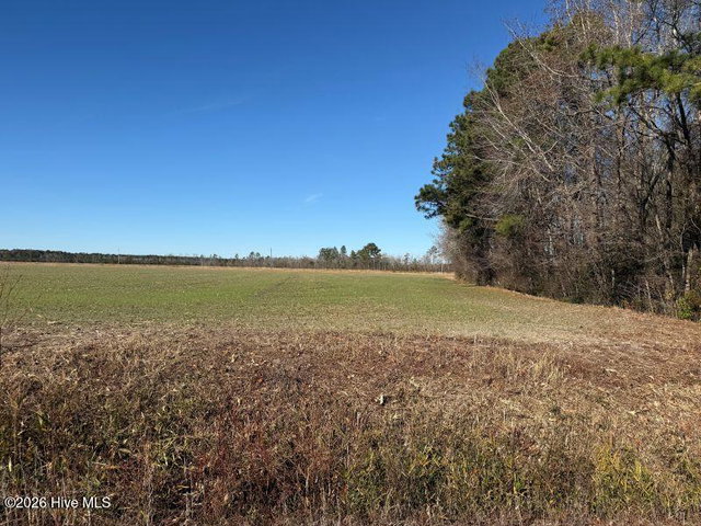 2056 N Carolina 903, Greenville, NC 27834 — photo 2