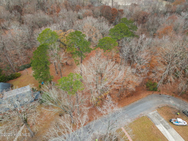 203 W Woodlawn Drive, Williamston, NC 27892 — photo 10