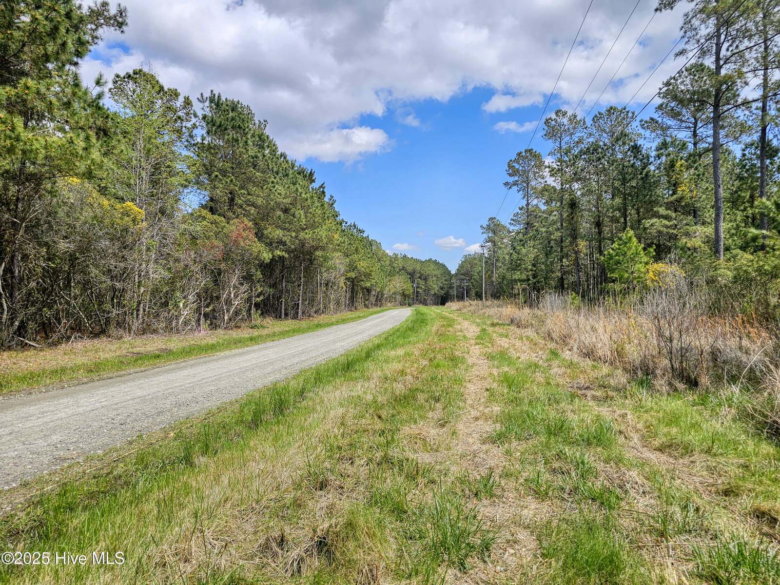 20 20 Sandy Point Road, Scranton, NC 27875 — photo 4