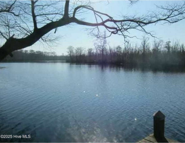 327 Acres, Hertford, NC 27944 — photo 3