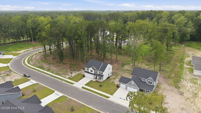 981 Rialto Lane, Ayden, NC 28513 — photo 40