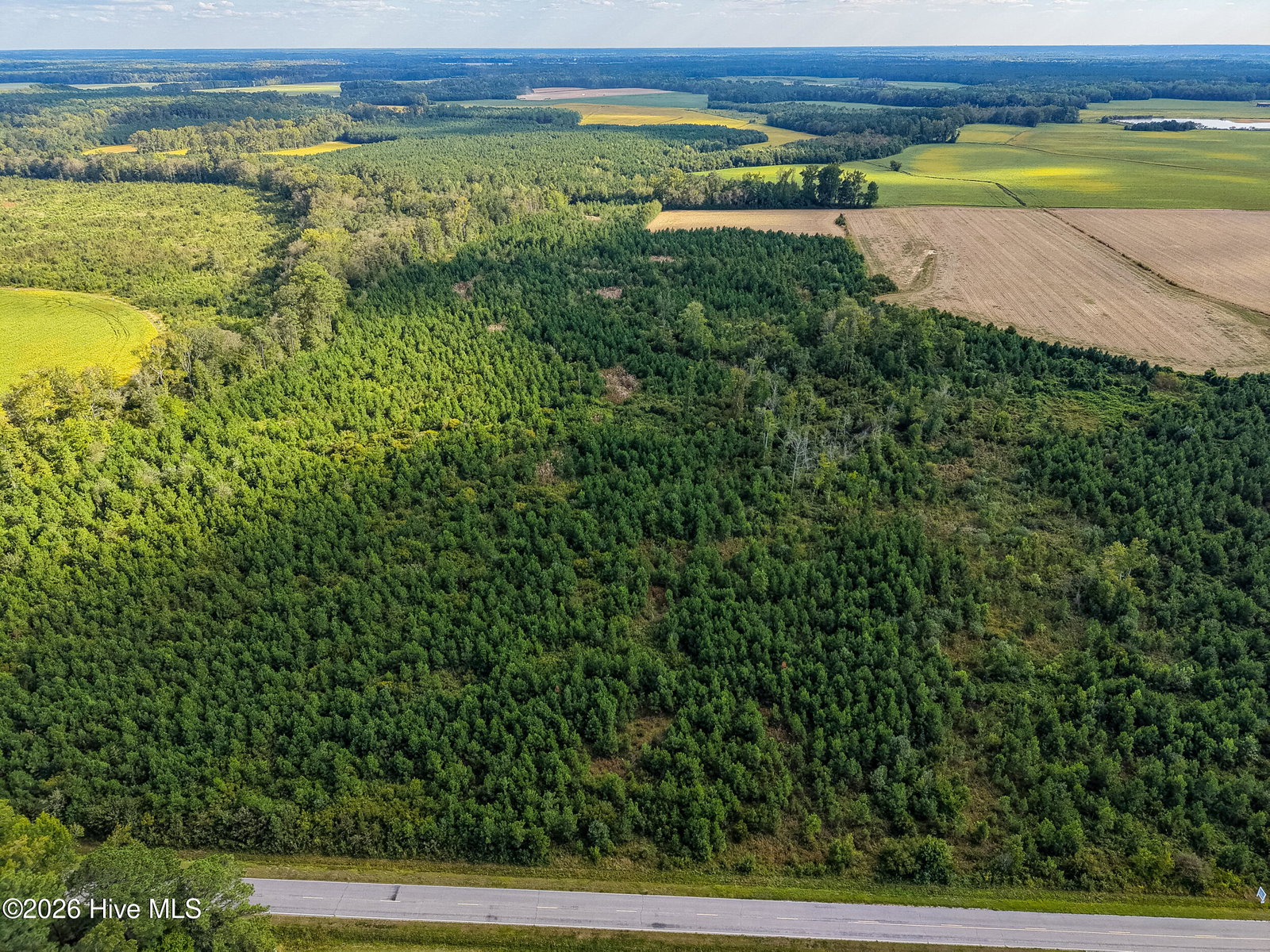 Tract 4 Bethlehem Church Road, Tarboro, NC 27886 — photo 3
