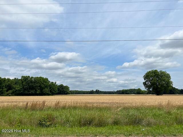 Tbd Hertford County High Road, Ahoskie, NC 27910 — photo 4
