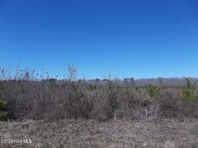 Tbd 5 Boat Ramp Road, New Hope, NC 27944 — photo 2