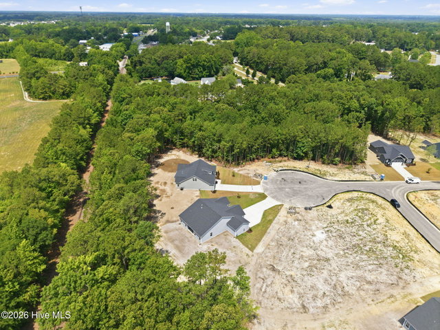 3003 Tucker Hill Drive, Grimesland, NC 27837 — photo 45