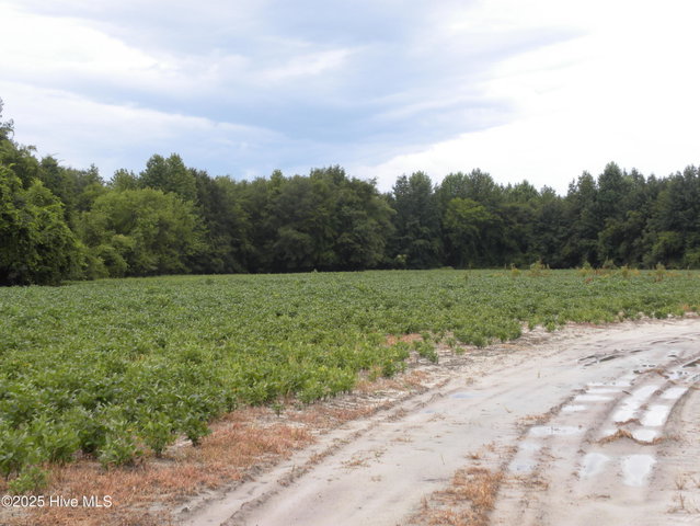 Tbd Conetoe Road, Greenville, NC 27834 — photo 1