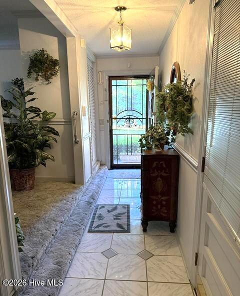 604 Eleanor Street, Greenville, NC 27858 — photo 2