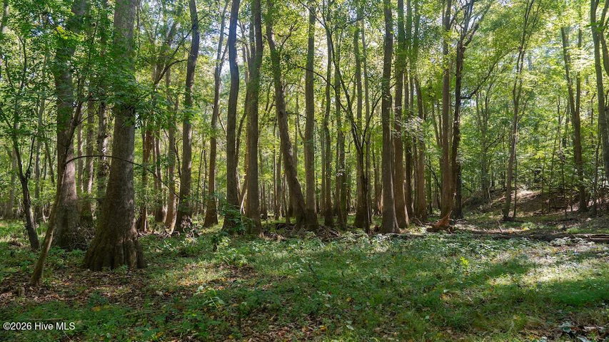0 Spring Hill Road, Scotland Neck, NC 27874
