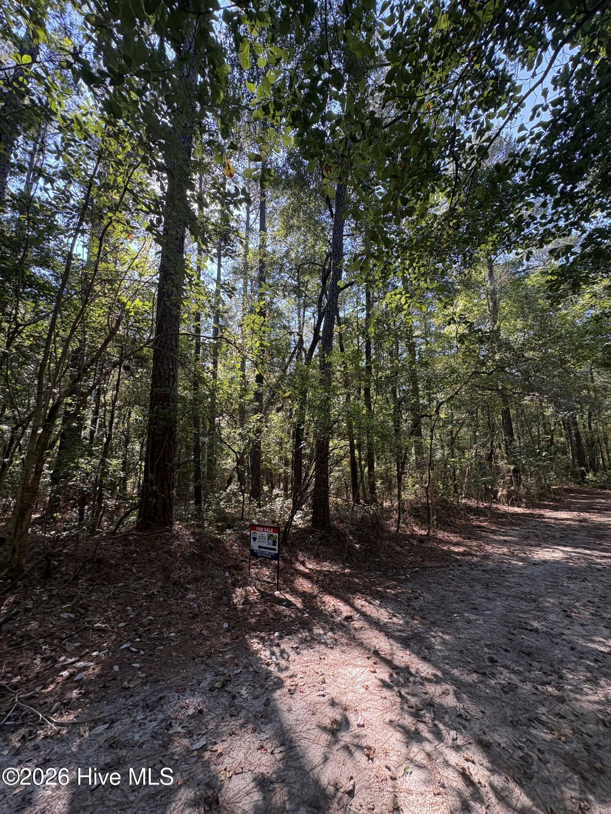 17 Old Tar Road, Winterville, NC 28590 — main photo