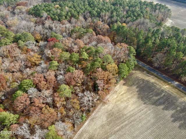0 Williams Road, Williamston, NC 27892 — photo 6