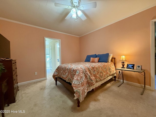 3773 Bear Grass Road, Williamston, NC 27892 — photo 31