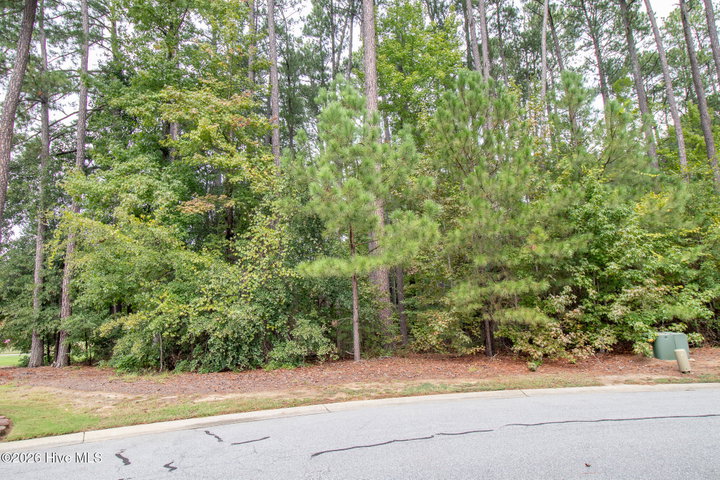 3255 Fords Colony Drive, Rocky Mount, NC 27804 — photo 2