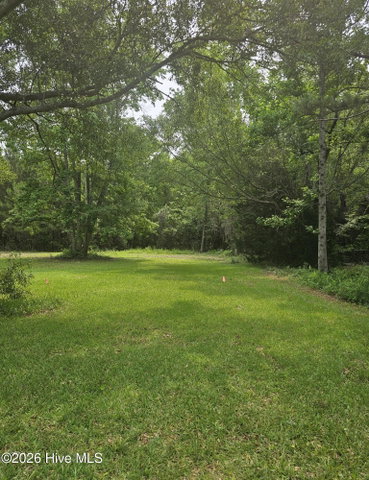 222 Fulcher Landing Road image