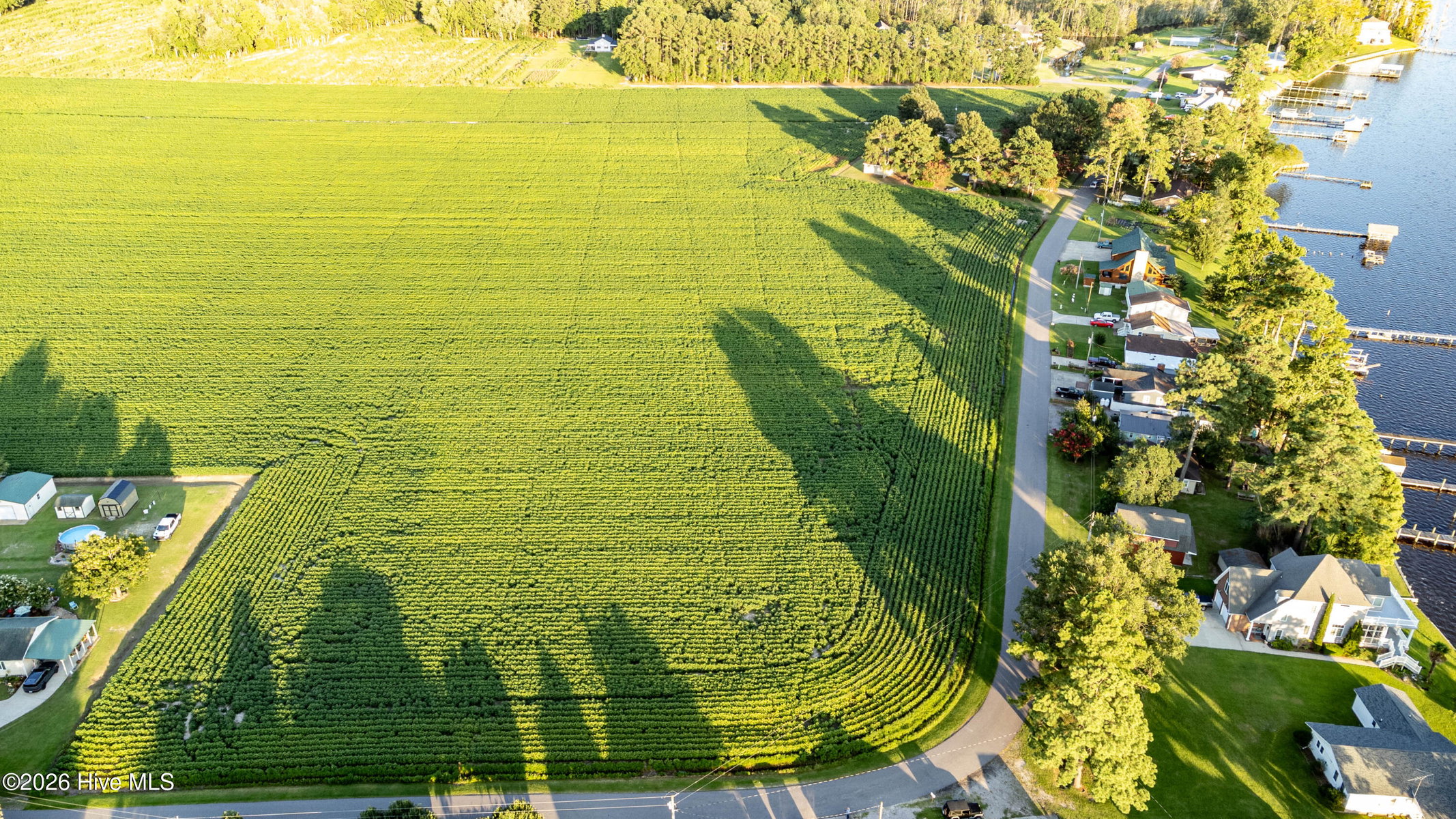 Tbd Lot# 2 Whitehat Road, Hertford, NC 27944 — photo 4
