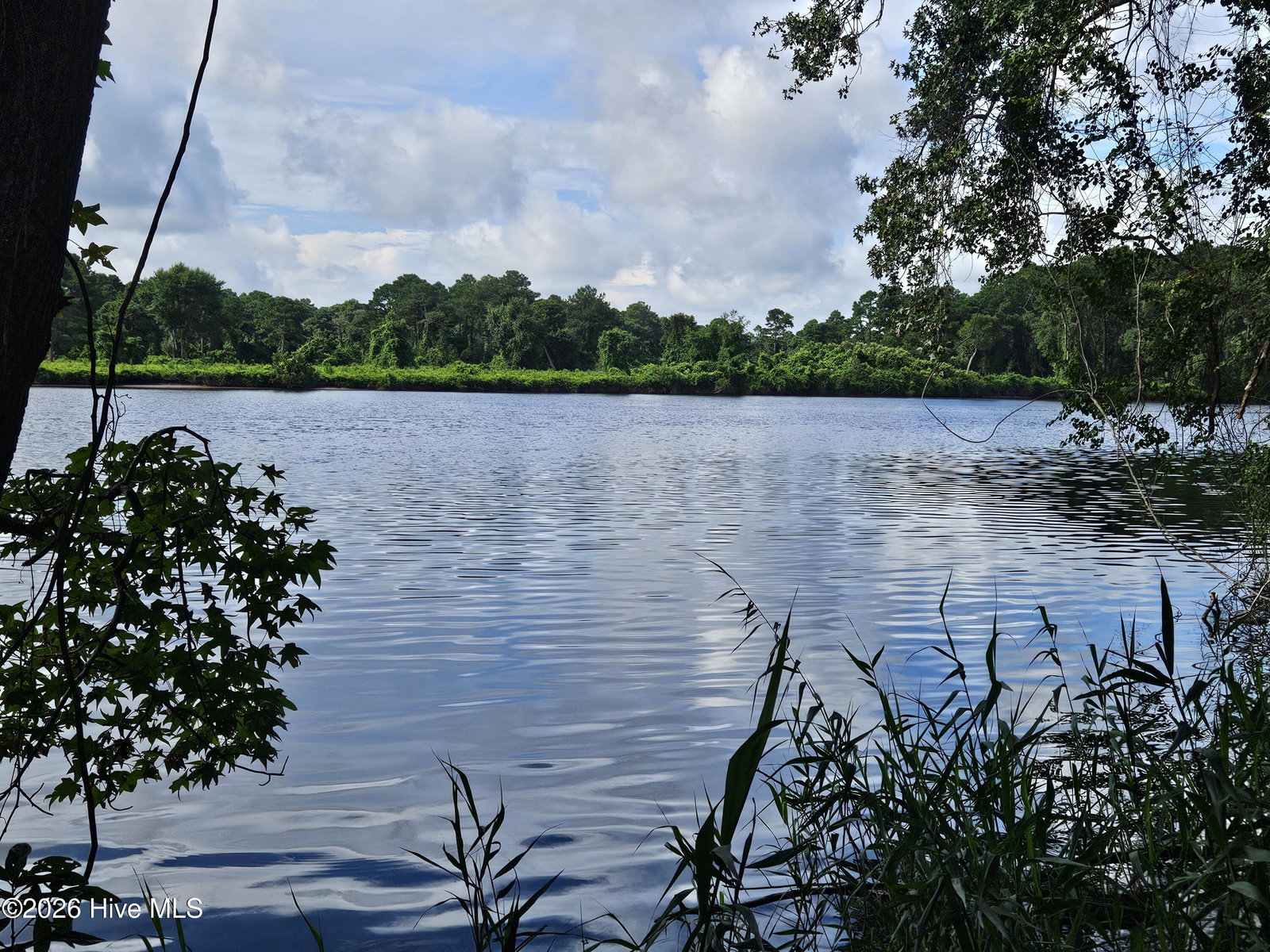 Wl33 E E Waterway Drive (Wl33) Drive, Belhaven, NC 27810 — photo 2