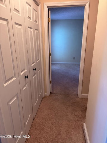 812 Hidden Branches Close, Winterville, NC 28590 — photo 25