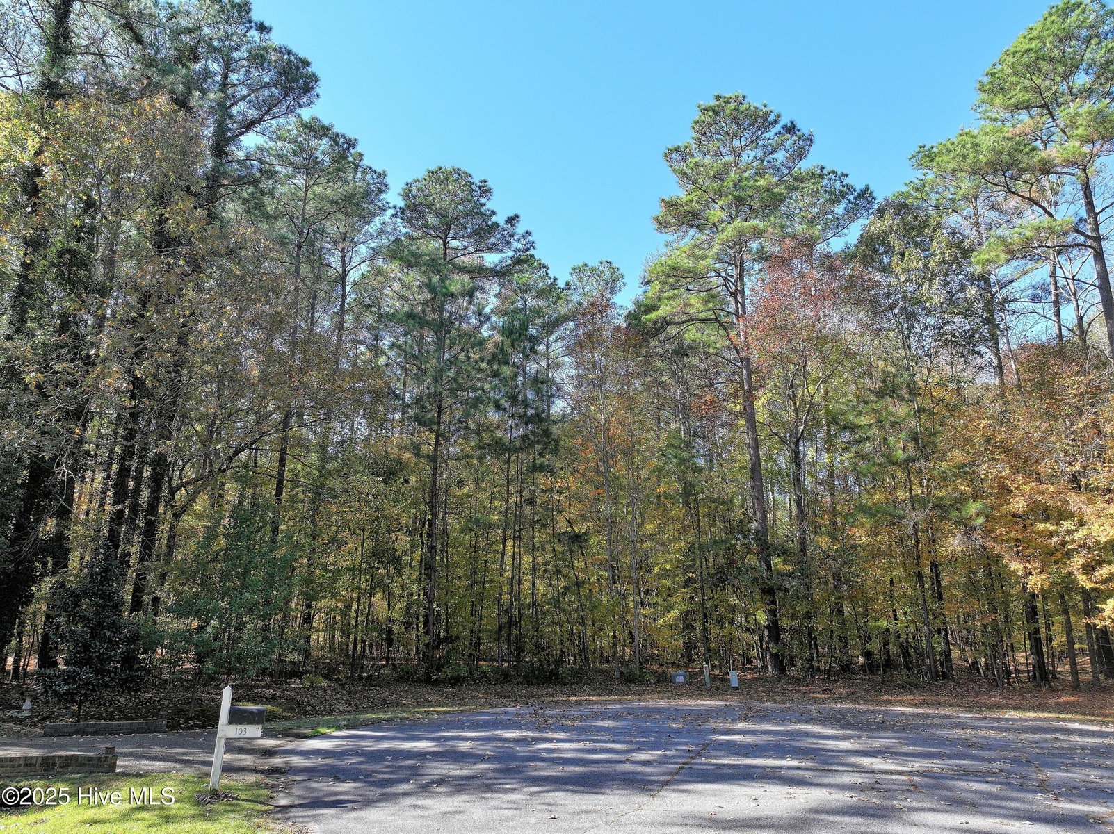 105 38 Lumber Circle, Hertford, NC 27944 — photo 5